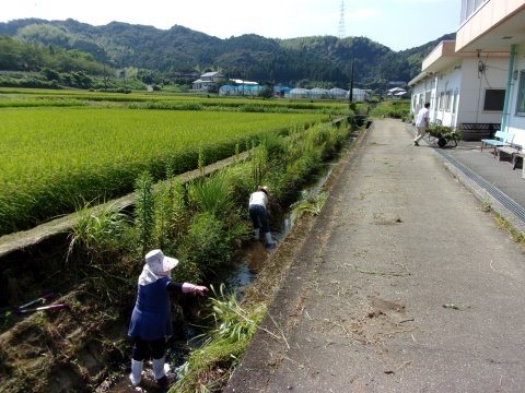 写真