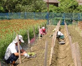 生産活動