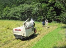 生産活動