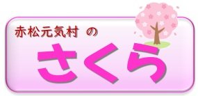 赤松元気村のさくら